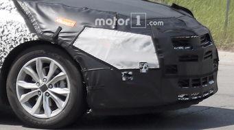 91四不像生肖,91四不像生肖的传奇故事